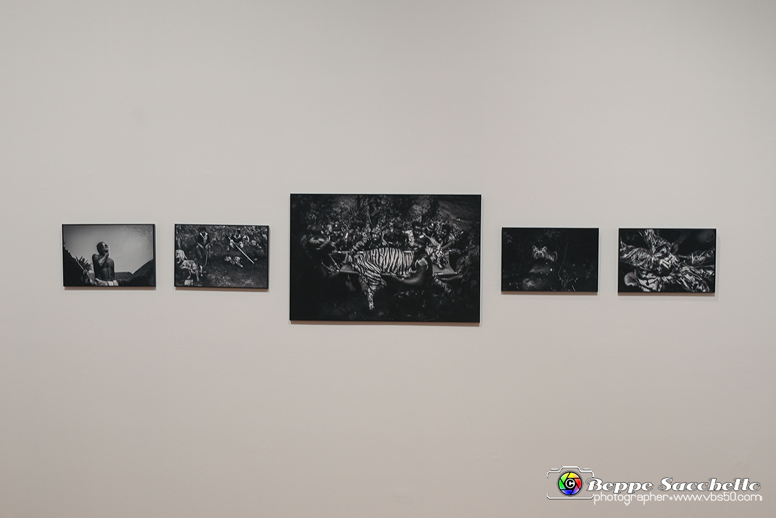 VBS_0541 - World Press Photo Exhibition 2022.jpg